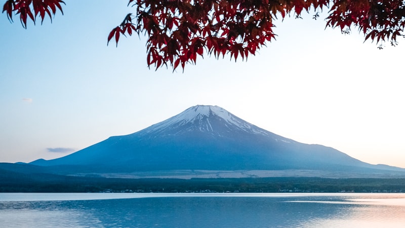 紅葉越しに湖面に映る富士山の夕景